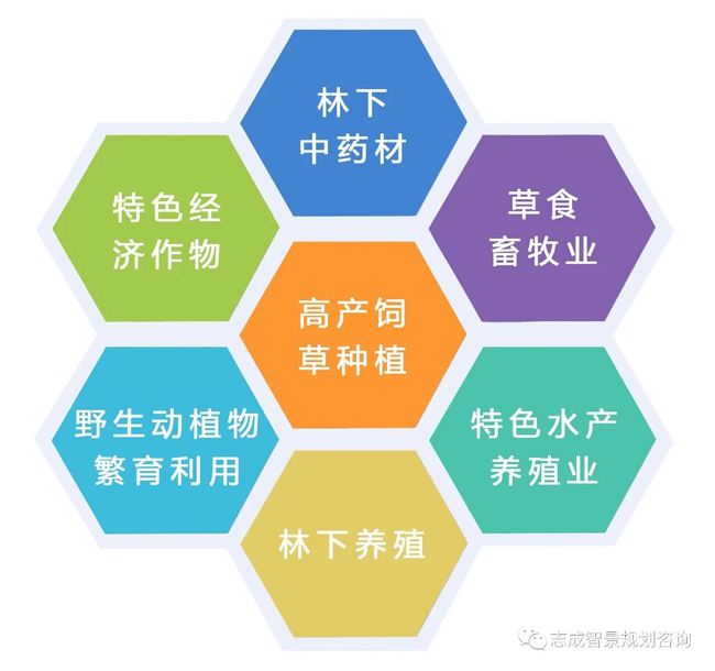 1629277698800910.jpg 7.jpg