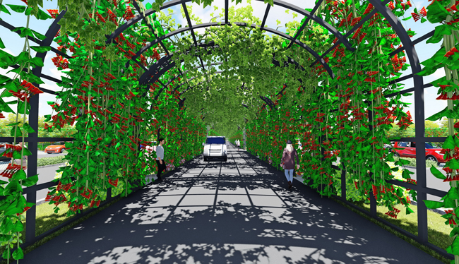 1629277757913201.jpg 8.jpg