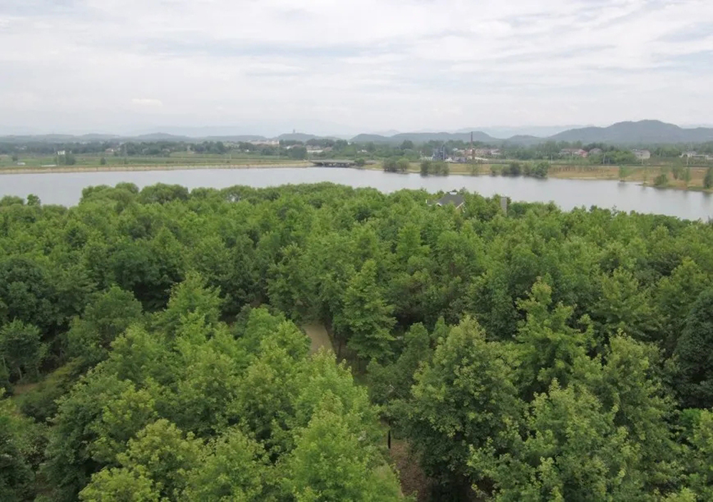 1640745983135575.jpg 640.webp (1).jpg