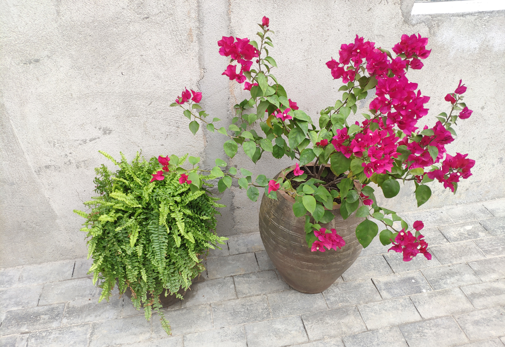 1642391152648344.jpg 002 (4).jpg