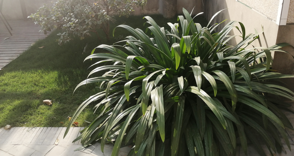 1642391169778962.jpg 002 (1).jpg