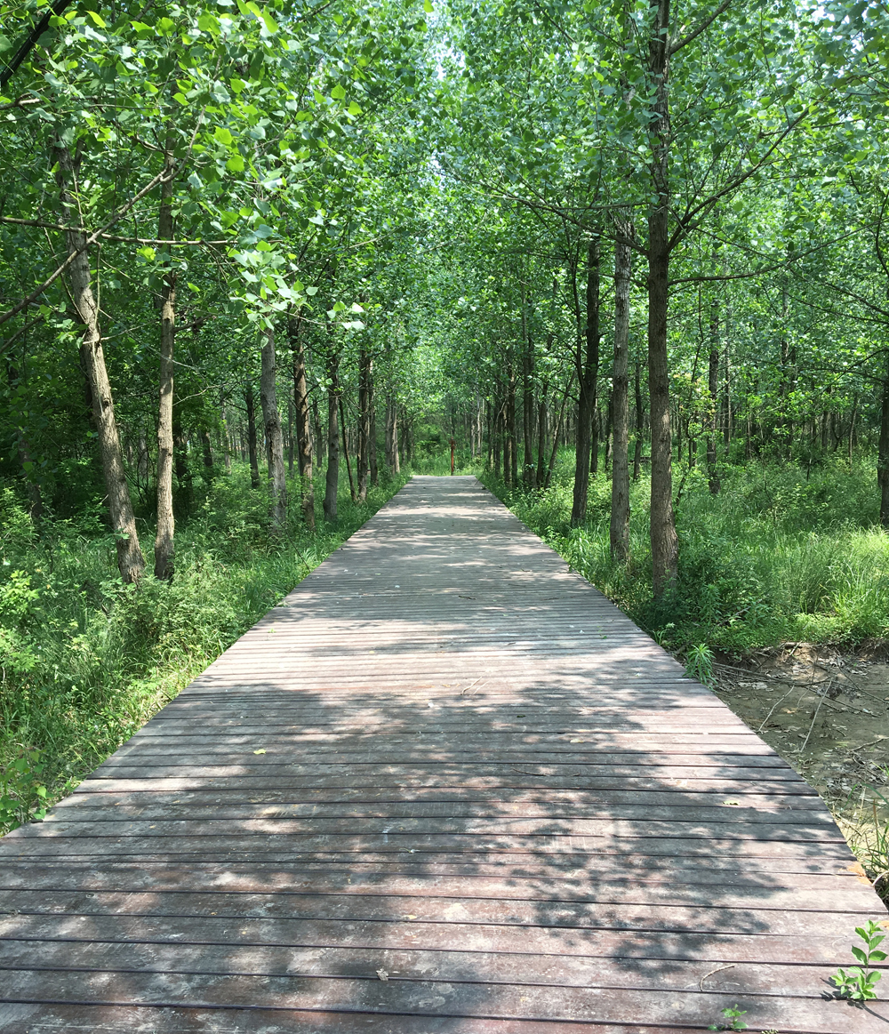 1642391284746330.jpg 002 (7).jpg