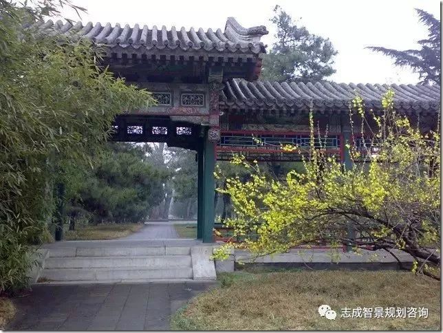 1655950266754743.jpg 640.jpg