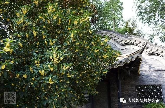 1655950443988830.jpg 640.jpg