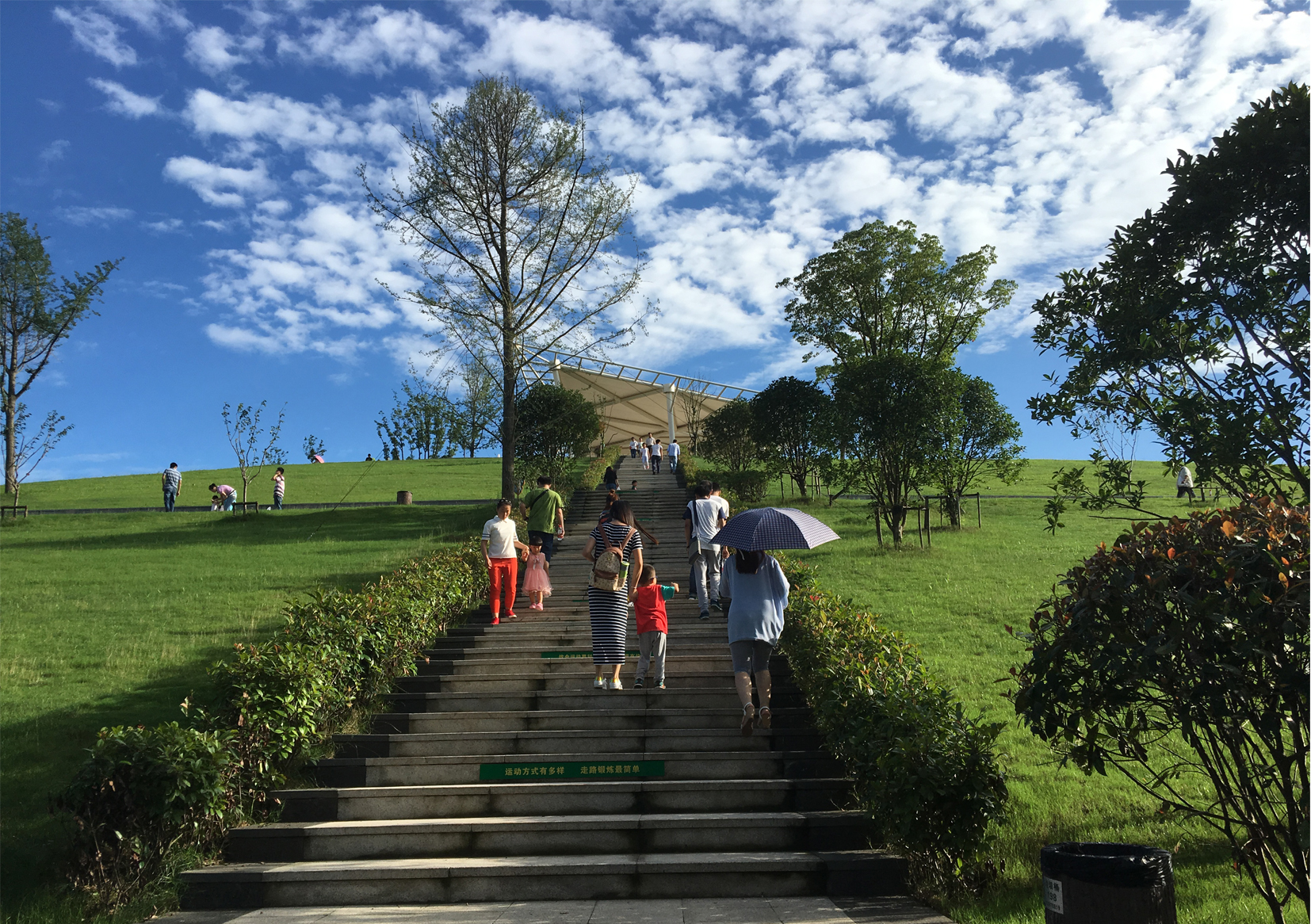 1676337660248101.jpg 05.jpg