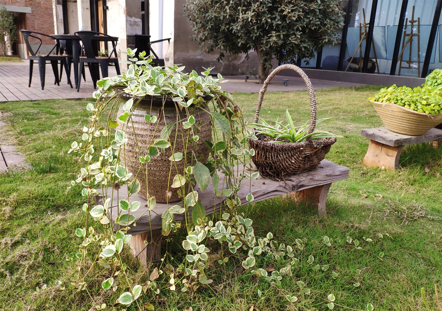 1676338132252686.jpg 08.jpg