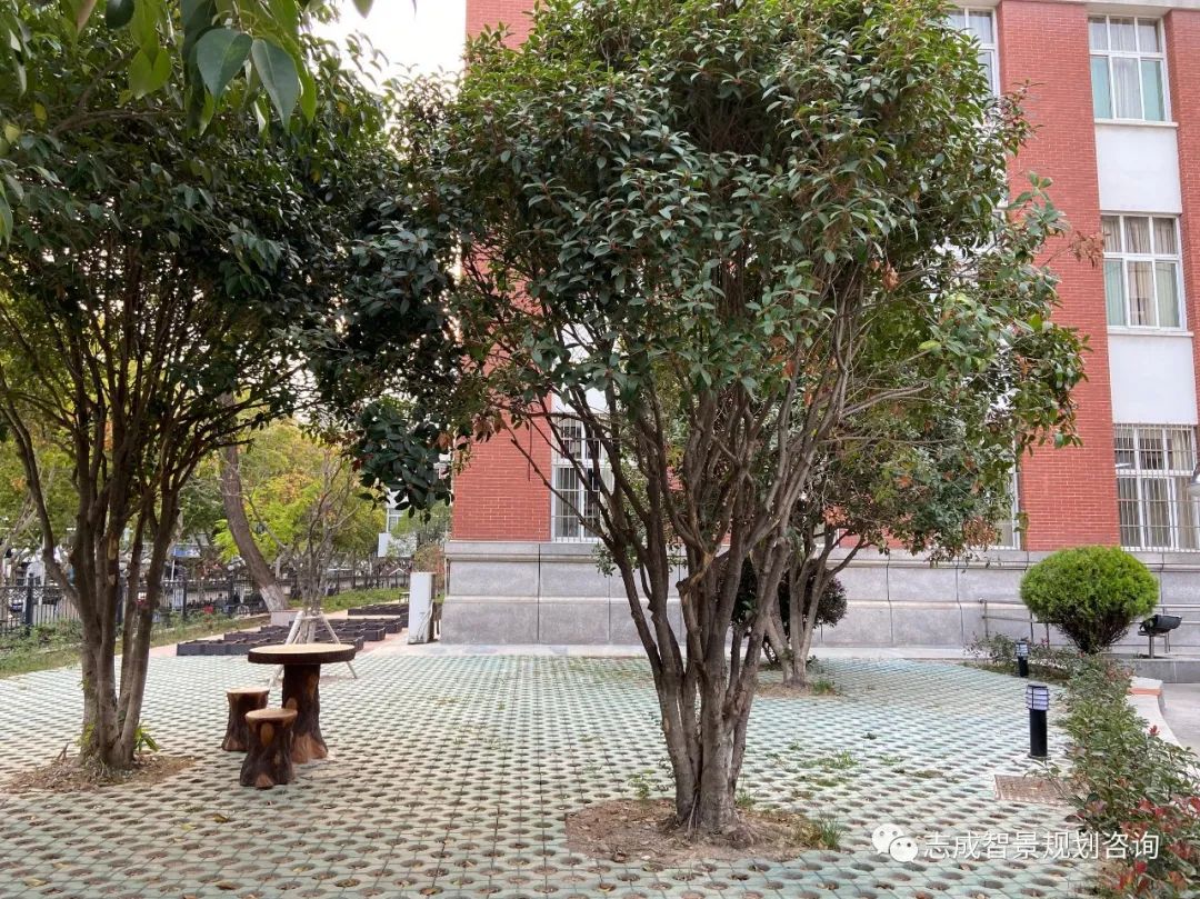 1681697322951006.jpg 640 (7).jpg