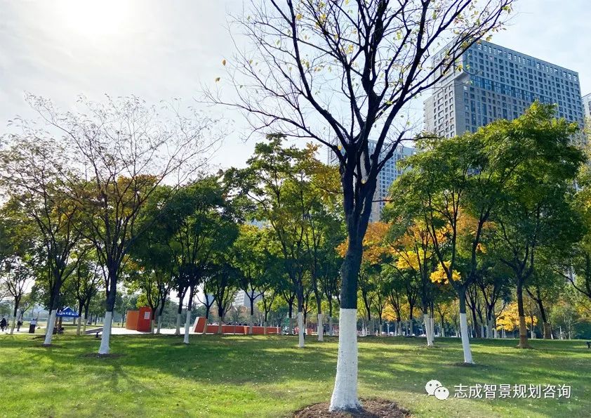 1681712367884272.jpg 640 (3).jpg